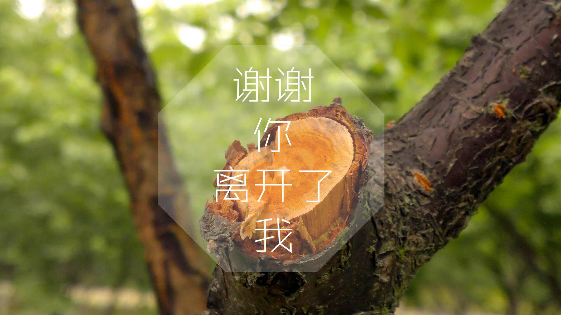 掘金二队击败G联赛冠军队，替补潜力获肯定，掘金队战绩