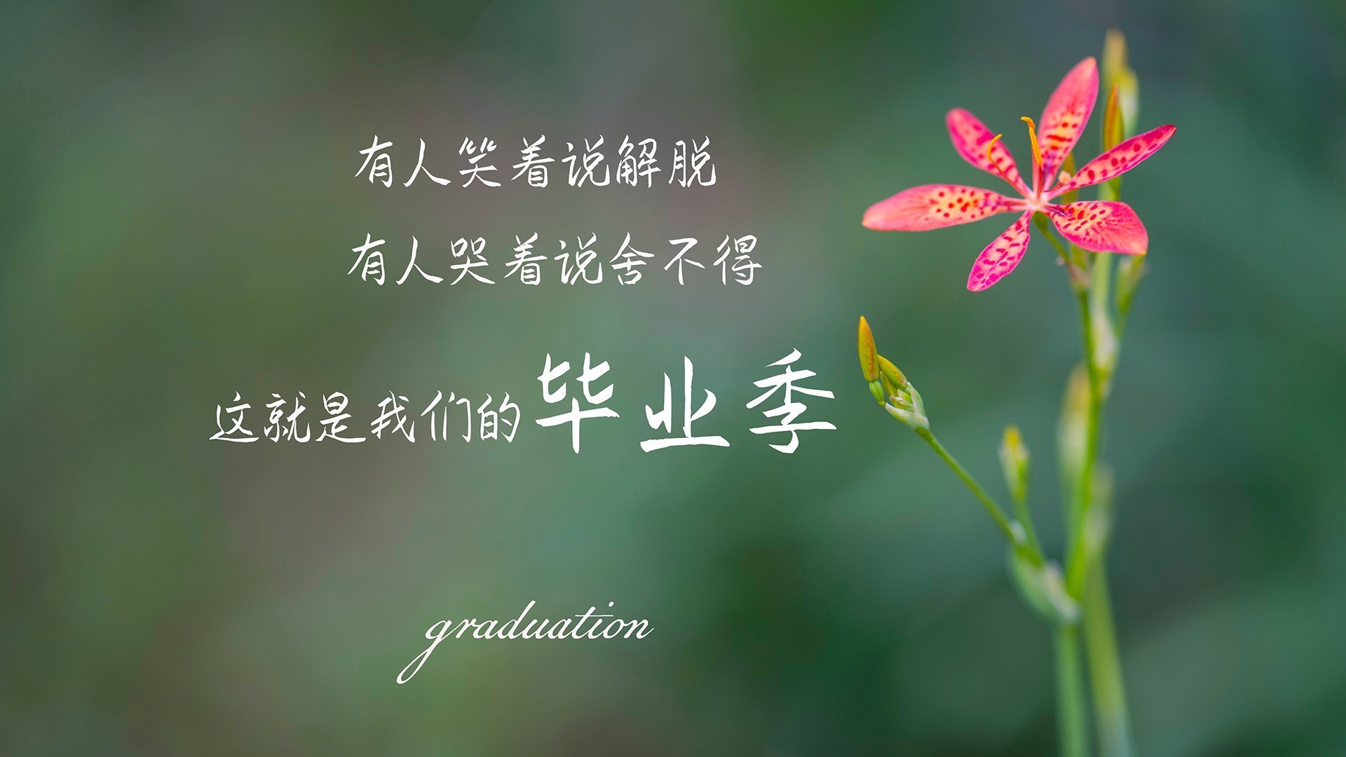 足球场馆运营模式创新，提高利用率，足球场馆运营模式创新,提高利用率的措施