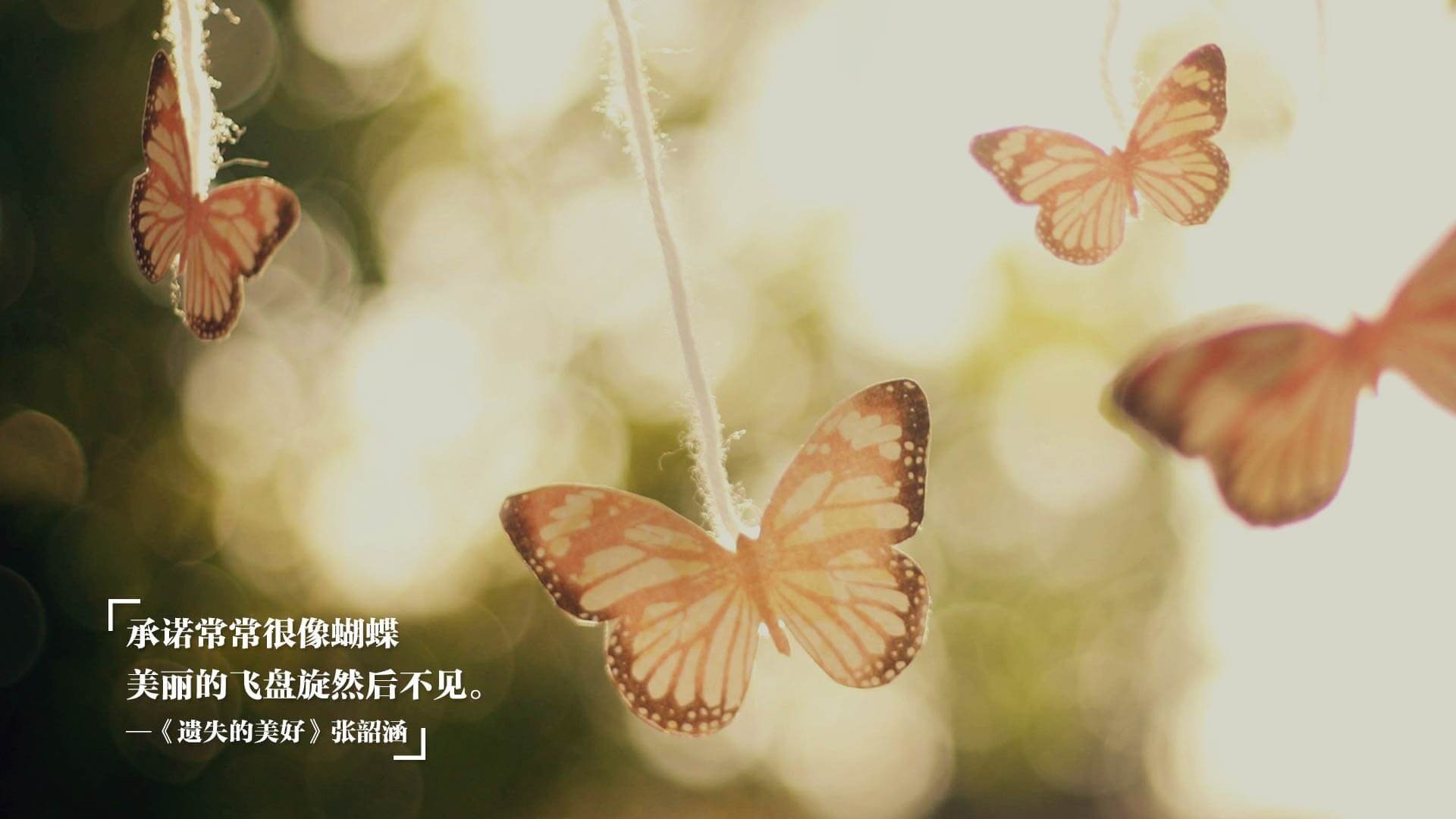 高校体育活动参与度与学生满意度调查，高校体育活动参与度与学生满意度调查报告