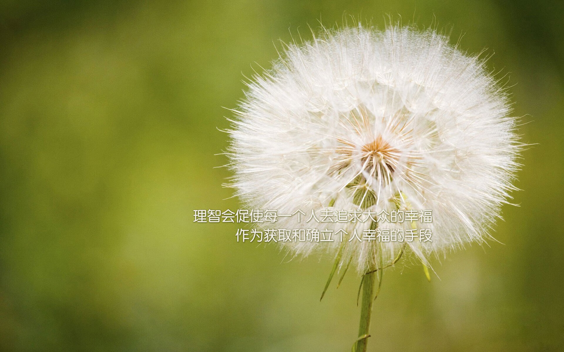 丁俊晖更换战术风格效果立竿见影，丁俊晖失传绝技