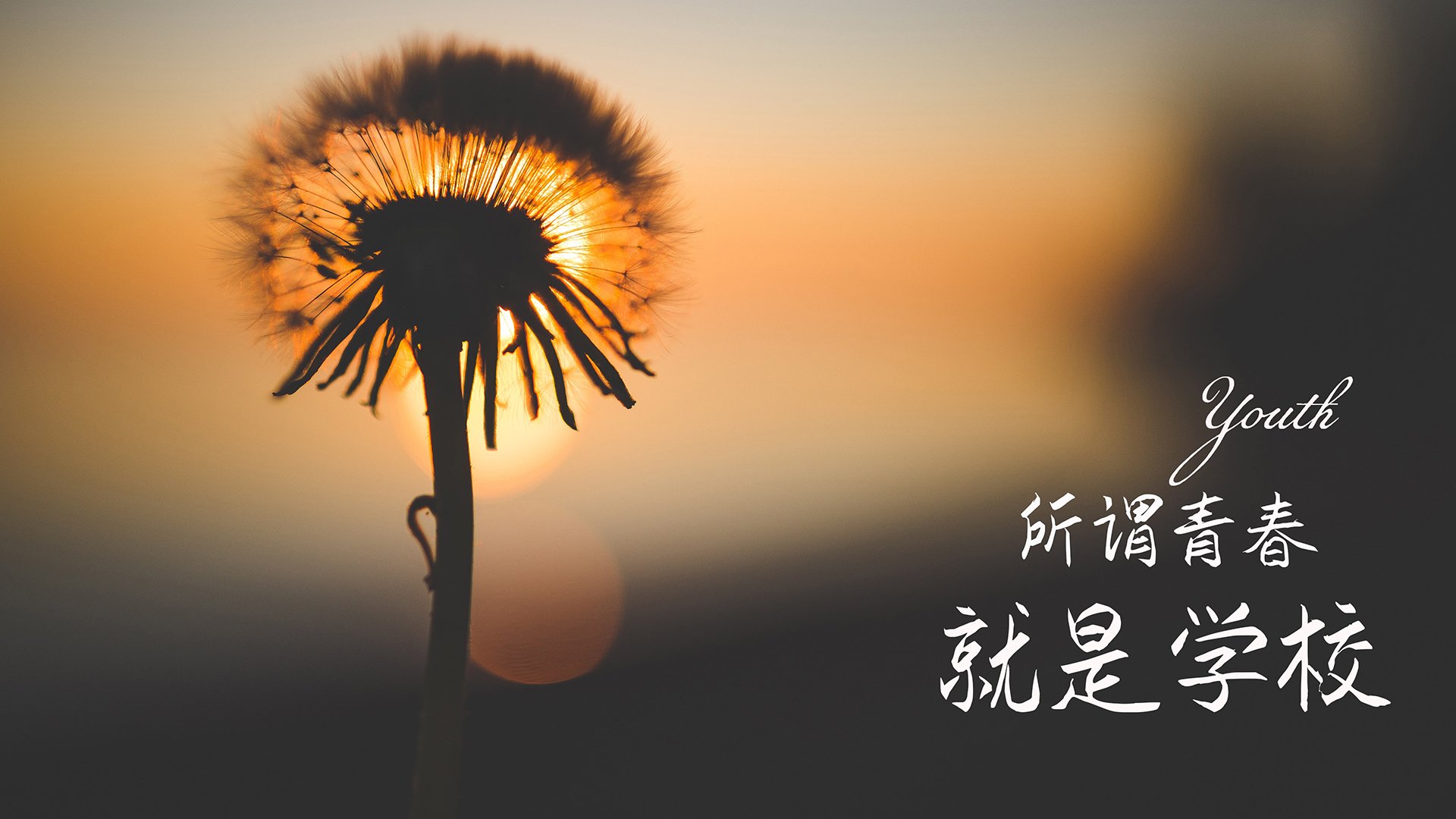 南非羚羊队的速度优势：强大的反击能力是他们最具威胁的部分，南非小羚羊