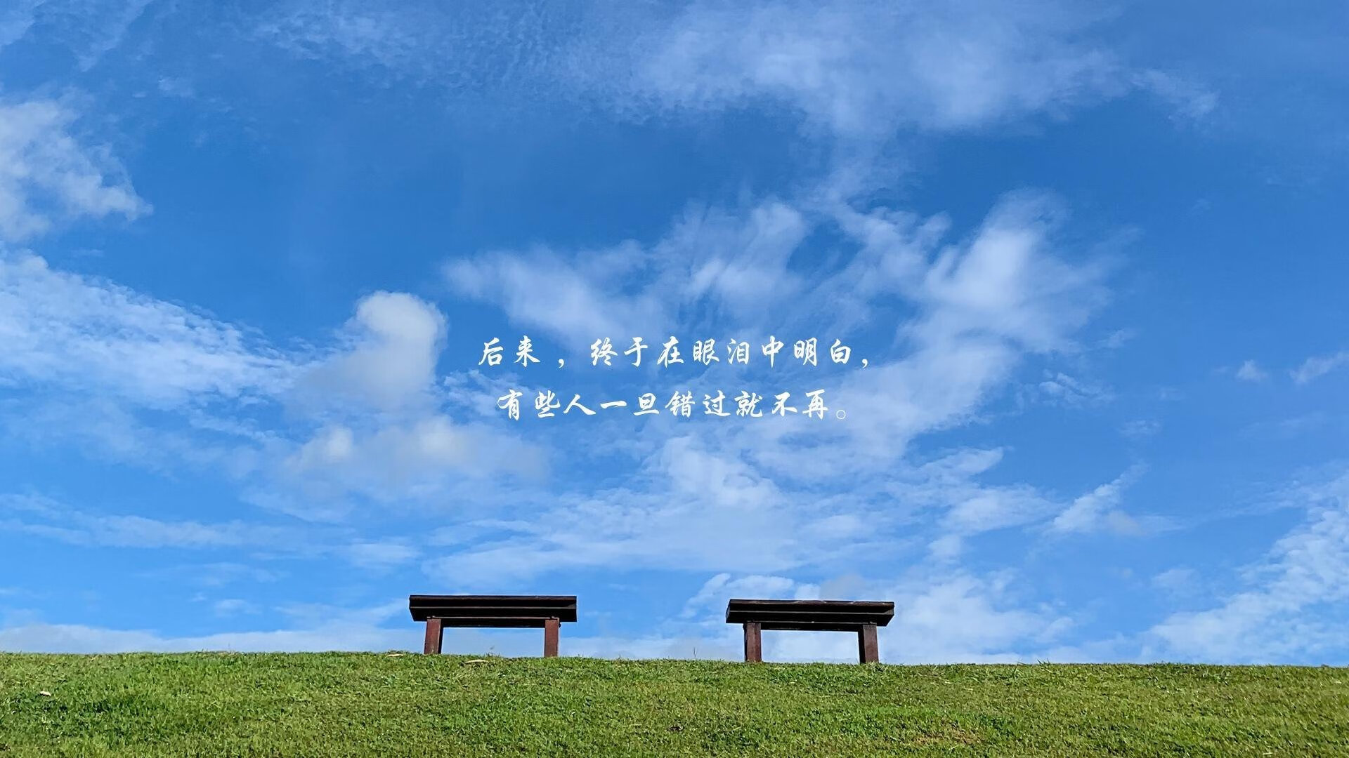 美洲杯逆境中崛起的英雄：闪耀全场的瞬间，美洲杯冠军来群里看看