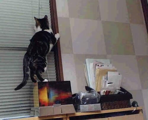 西甲加时紧张:惊险瞬间,燃爆全场!,西甲联赛有加时赛吗