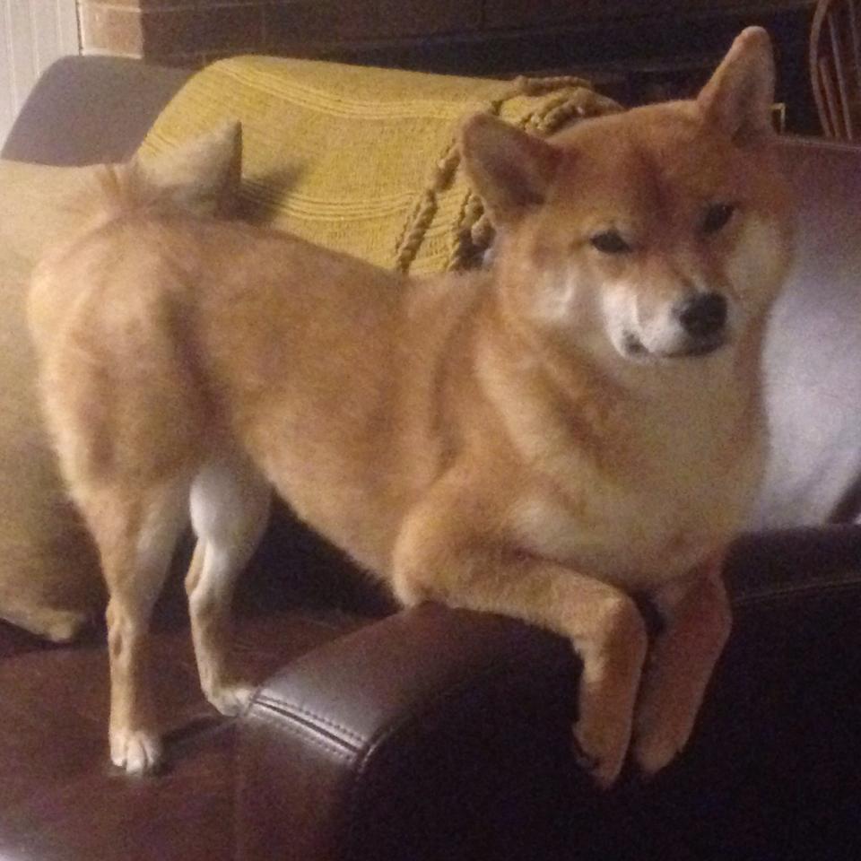 达里尔·基:他用无与伦比的防守意识和突破能力成为全黑队的中场屏障